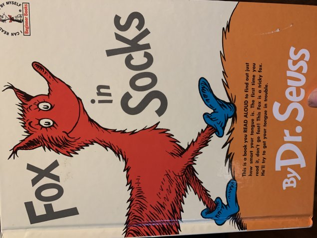 Fox in Socks
