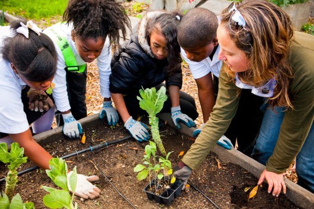 Health Ed - students gardening
