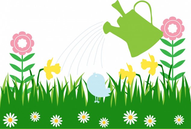 watering flowers