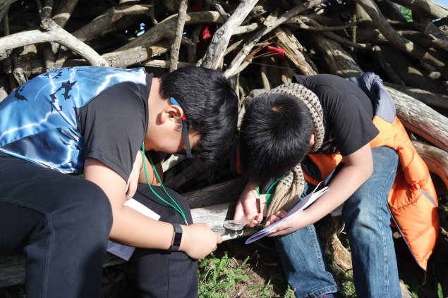 students making observations outdoors with hand lenses.